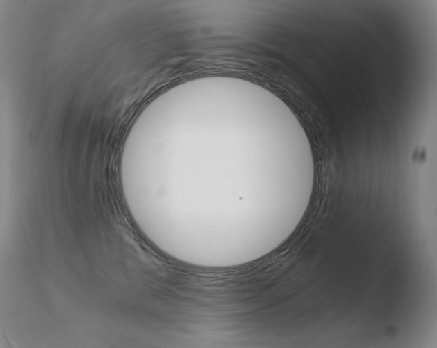 X0000110670327200906121108