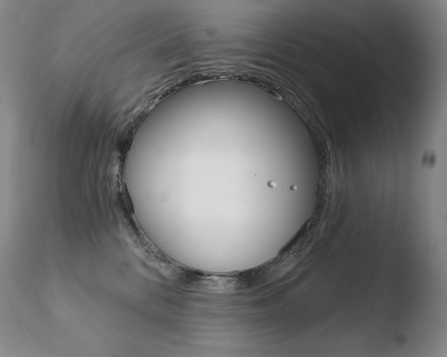 X0000110670328200906121108