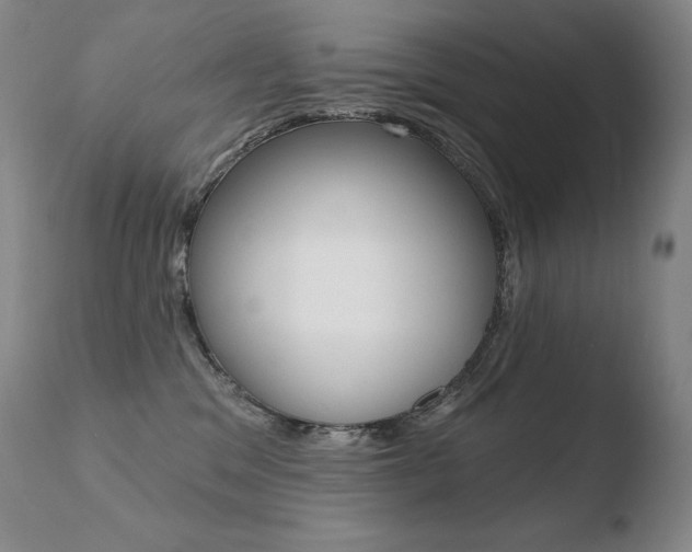 X0000110670329200906121108