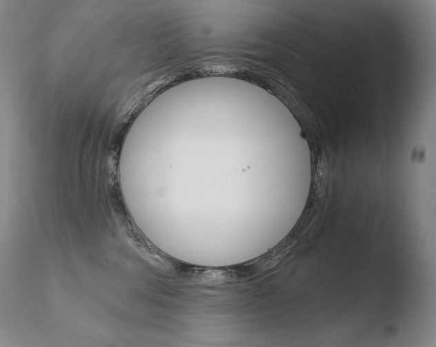 X0000110670330200906121108