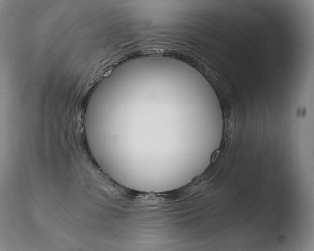 X0000110670331200906121108
