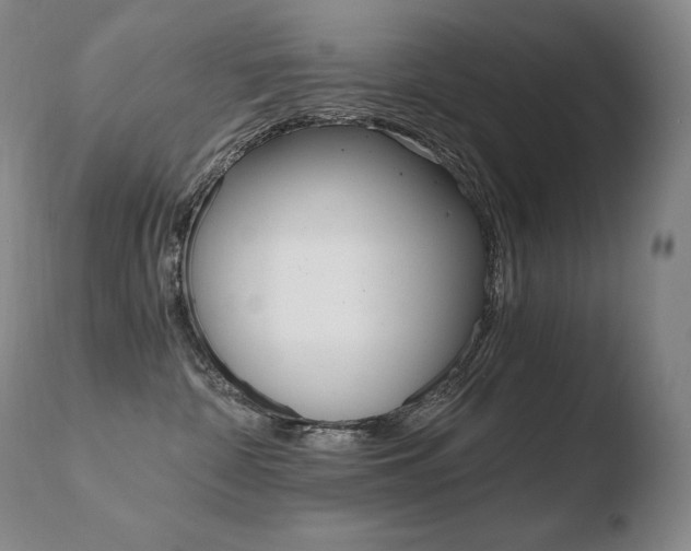 X0000110670332200906121108