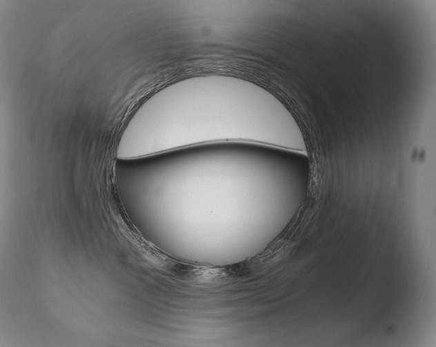 X0000110670333200906121108