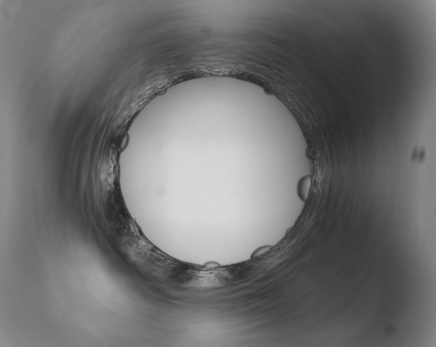 X0000110670334200906121108