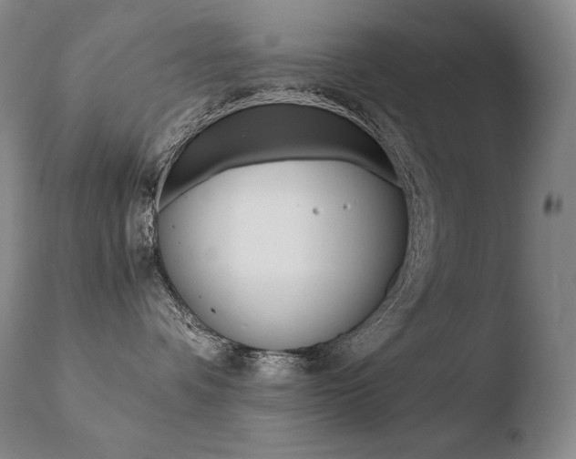 X0000110670336200906121108