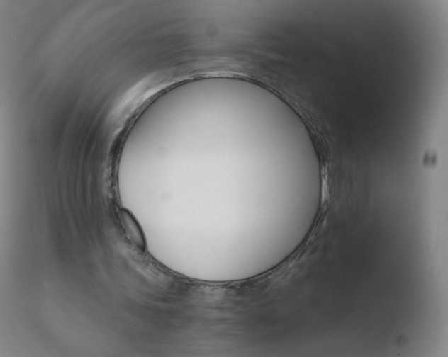 X0000110670339200906121107