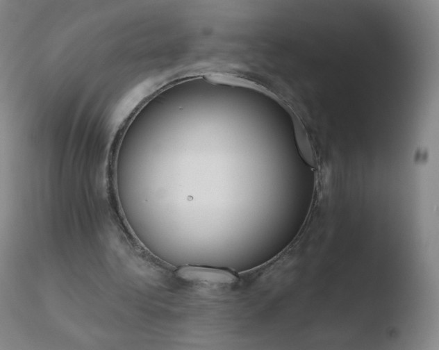 X0000110670340200906121107