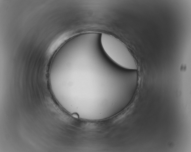 X0000110670341200906121107