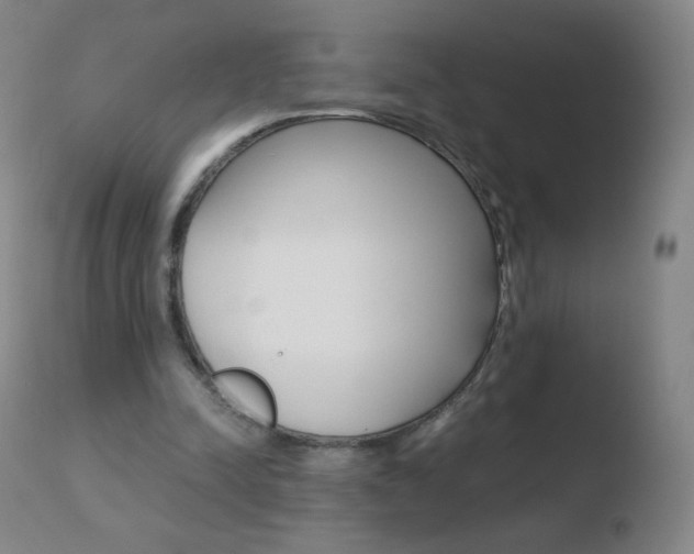 X0000110670342200906121107