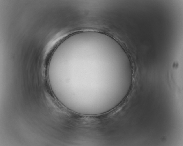 X0000110670343200906121107