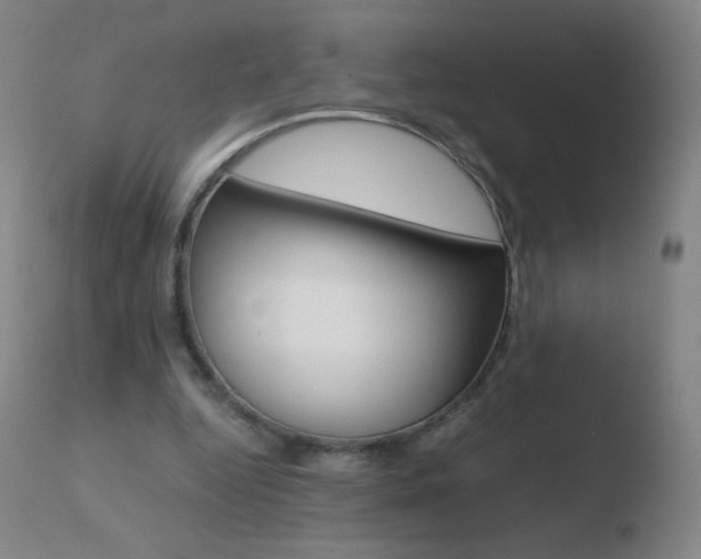 X0000110670344200906121107