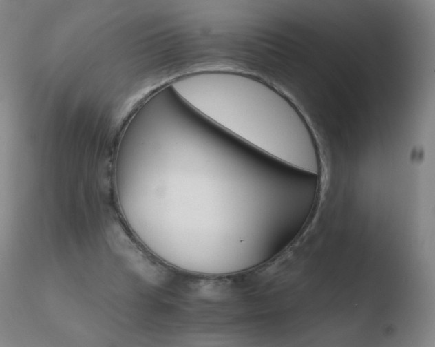 X0000110670345200906121107