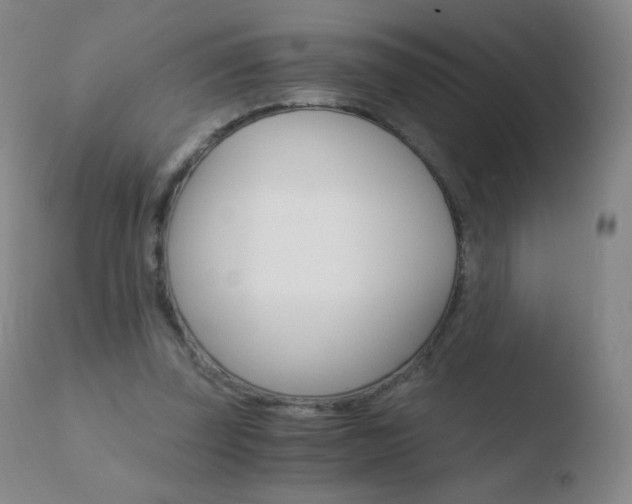 X0000110670347200906121107