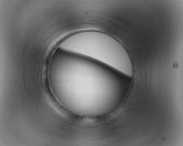 X0000110670350200906121107