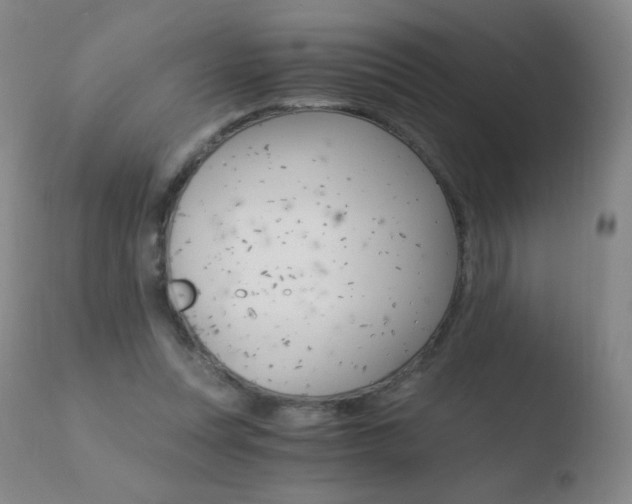 X0000110670351200906121107