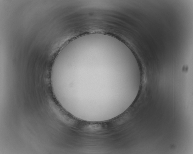 X0000110670353200906121107
