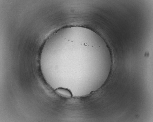 X0000110670354200906121107