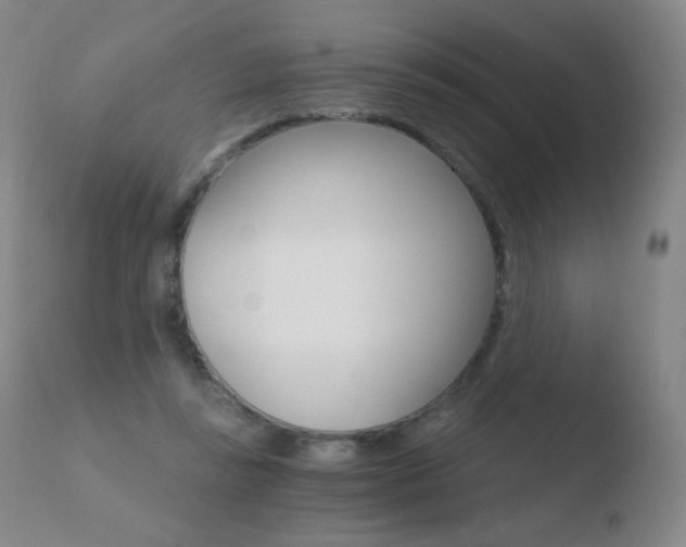 X0000110670355200906121107