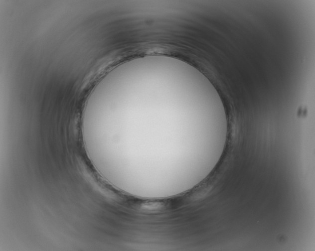 X0000110670357200906121107