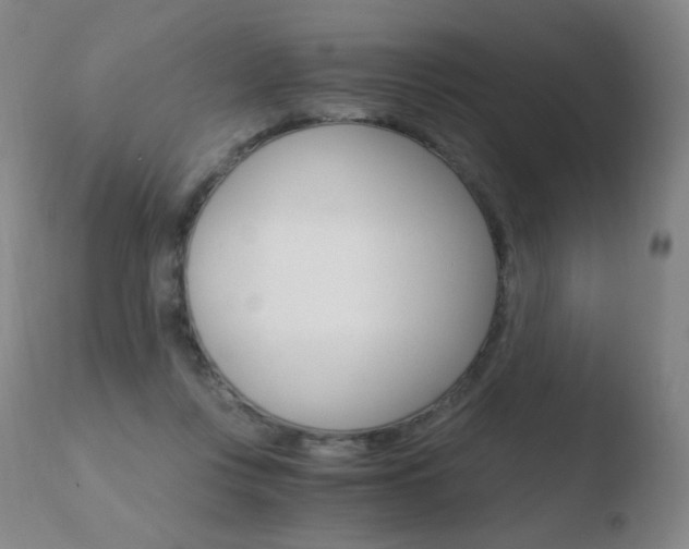 X0000110670359200906121107