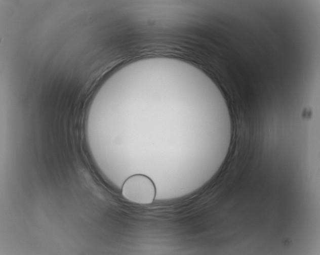 X0000110670360200906121107