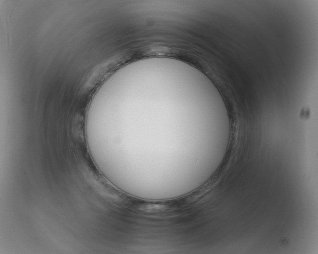 X0000110670361200906121107