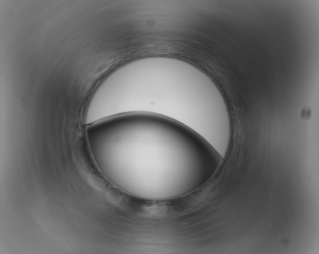 X0000110670362200906121107
