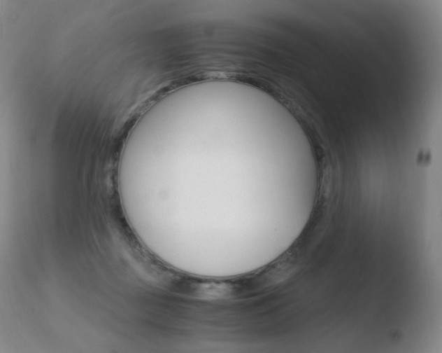 X0000110670363200906121107