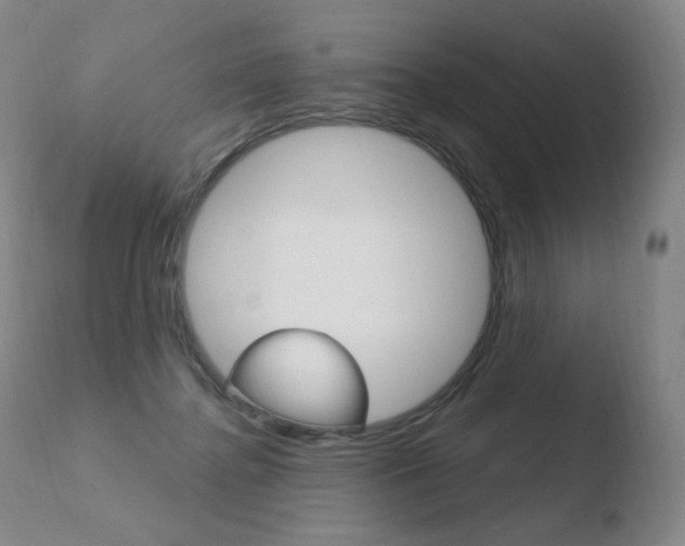 X0000110670364200906121107