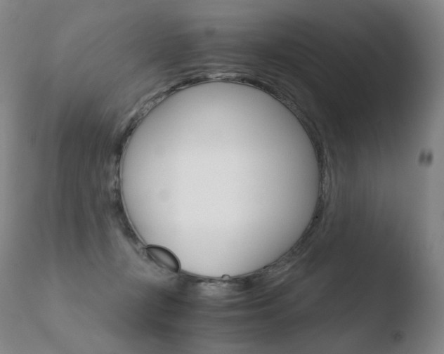 X0000110670367200906121108