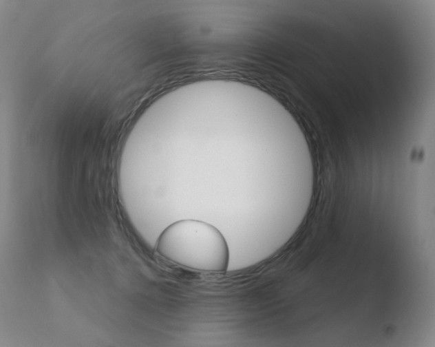 X0000110670368200906121108