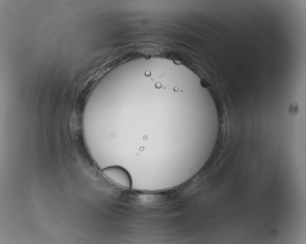 X0000110670371200906121108