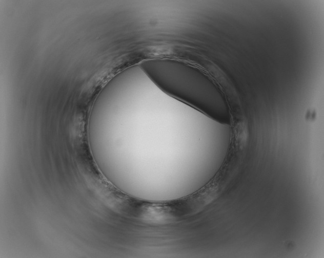 X0000110670372200906121108