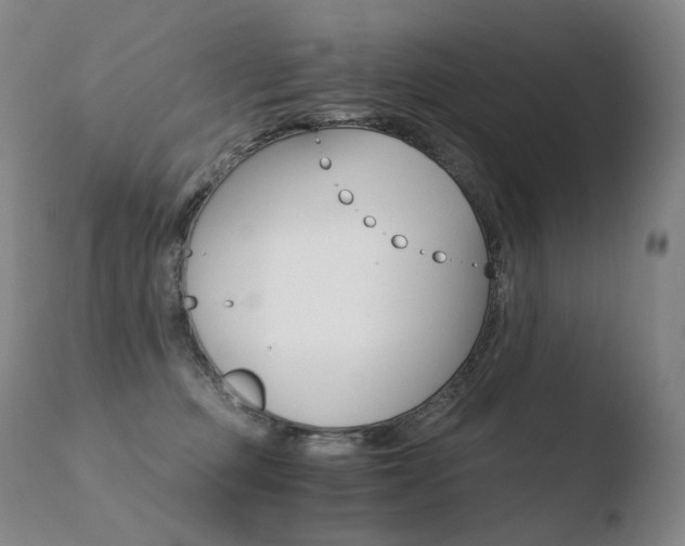 X0000110670373200906121108