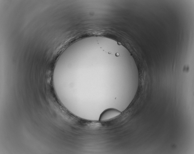 X0000110670374200906121108