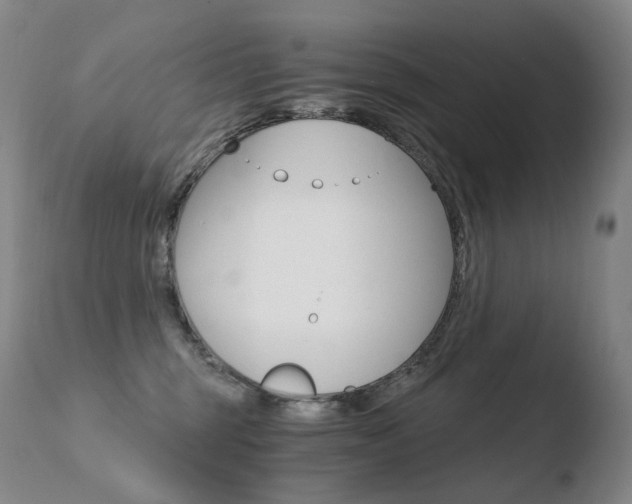 X0000110670375200906121108