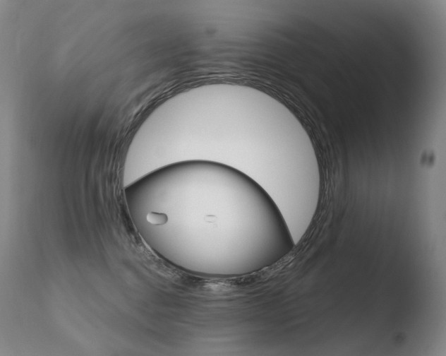 X0000110670376200906121108