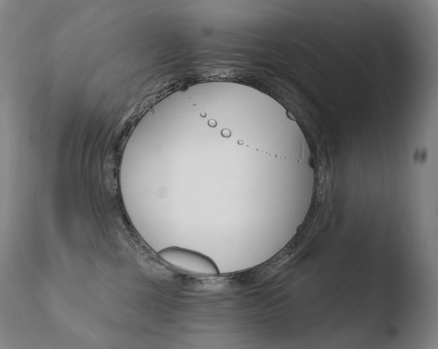 X0000110670377200906121108
