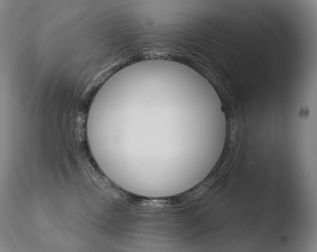 X0000110670378200906121108