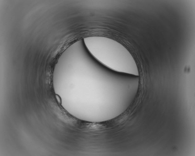 X0000110670379200906121108