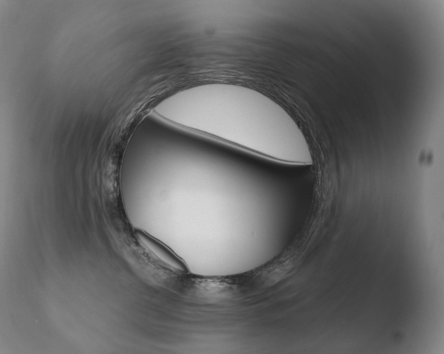 X0000110670380200906121108