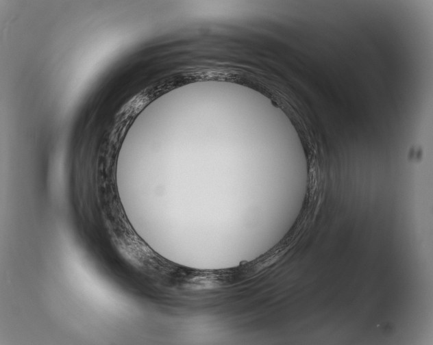 X0000110670381200906121108