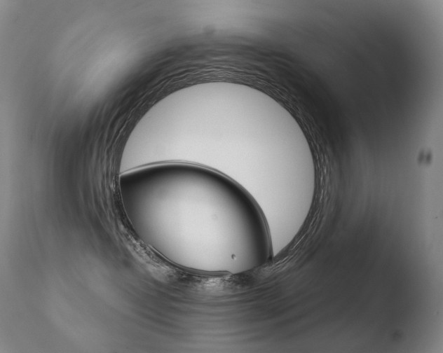 X0000110670382200906121108