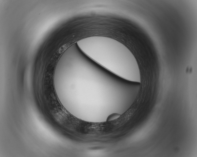 X0000110670383200906121108