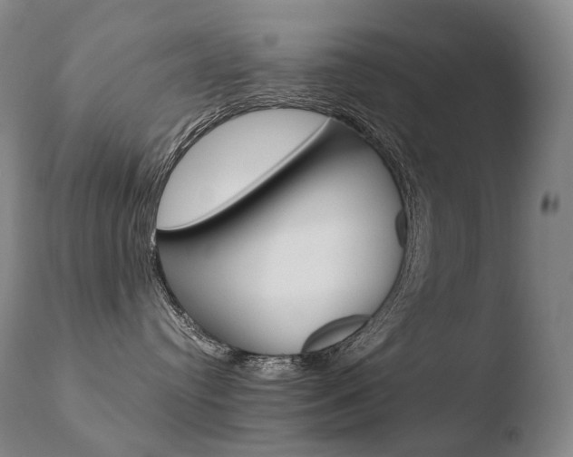 X0000110670384200906121108