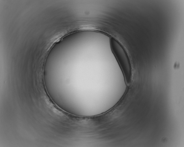 X0000110670385200906121107