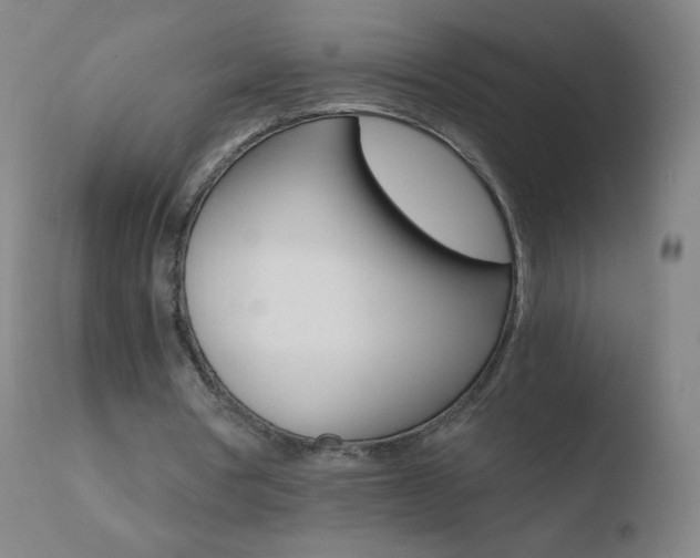 X0000110670386200906121107