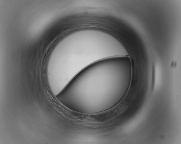 X0000110670387200906121107