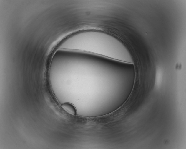 X0000110670388200906121107