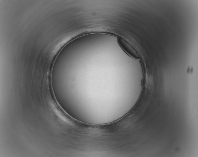 X0000110670389200906121107